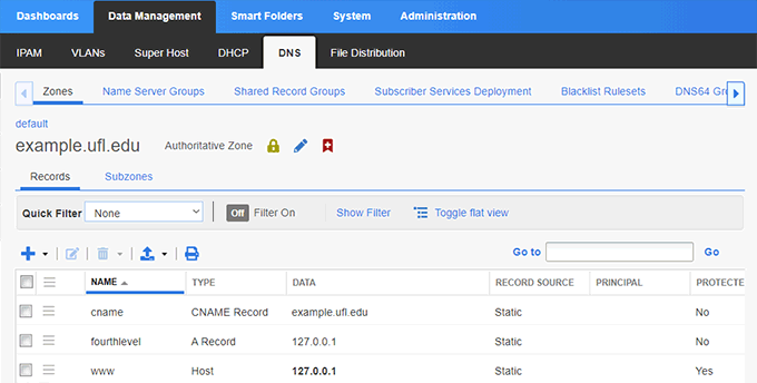 Infoblox DNS Zones View