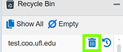 Recycle Bin Delete Button