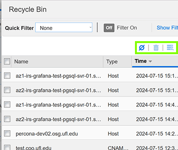 Infoblox Recycle Bin Delete All Icon