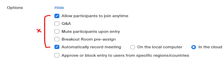 A screenshot displaying a set of meeting options. Checked options include 